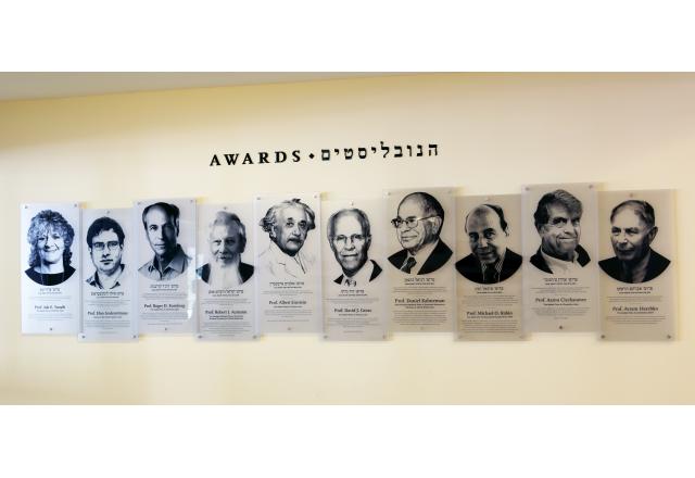 The Awards Wall